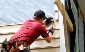 Best Custom Siding Design  in Florence, AZ